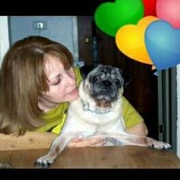 Zoramar (@zoramar1) 's Twitter Profile Photo Zoramar (@zoramar1) 's Twitter Profile Photo