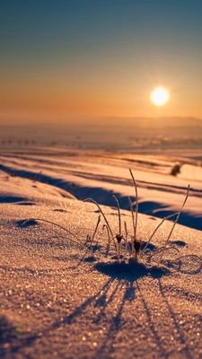 azid1010's profile picture. Pribadi Mandiri meraih kesuksesan hakiki