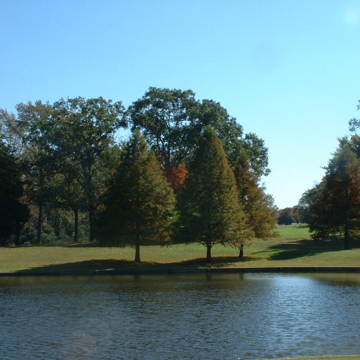 CallaDowney's profile picture. 🇺🇸