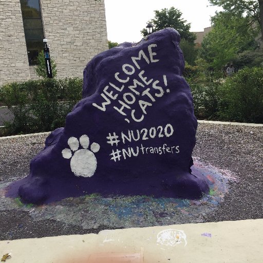 In case you were wondering what's on the Rock today.