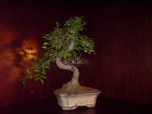 Wanglong7's profile picture. More of me here:
http://t.co/BQAXzjlA
http://t.co/AXTWRSOk
http://t.co/0XbIoQGu