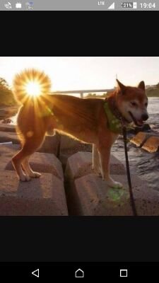 PBsvUBfzO64R3hh's profile picture. ハースストーン低レベル/デレステ/音ゲー/チュウニズム・ボルテ雑魚/アニメ なんでも
フォロー114514
無言フォローさーせん