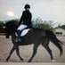 Sherie Lane-Vermeer (@equestrian) Twitter profile photo Sherie Lane-Vermeer (@equestrian) Twitter profile photo