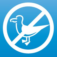 No Such Thing as a Seagull 🤔 (@nosuchseagull) 's Twitter Profile Photo No Such Thing as a Seagull 🤔 (@nosuchseagull) 's Twitter Profile Photo