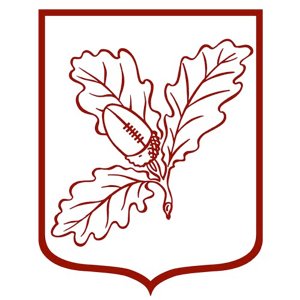 Twitter account for Surrey Schools RFU.