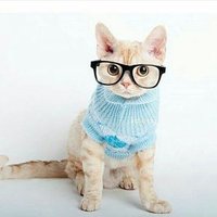 Şirin hanım✌ (@merve_nur312) Twitter profile photo