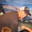 jlim19's profile image