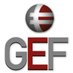 Gestión de Finanzas (@gef_eaf) Twitter profile photo Gestión de Finanzas (@gef_eaf) Twitter profile photo
