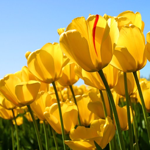 dawnrowe2015's profile picture. 