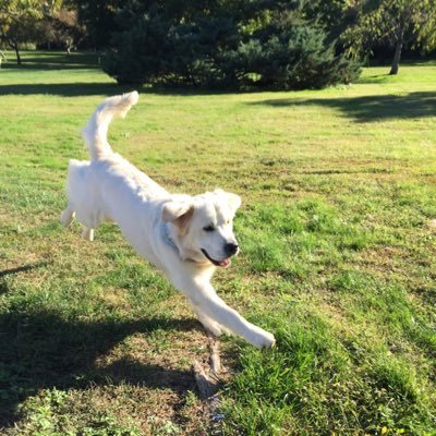 Jerry_Carnegie's profile picture. 