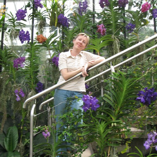 Anapvas's profile picture. Knowledge Management, Competitive Intelligence