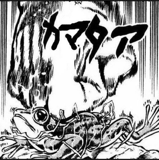 gonzily1269's profile picture. たくあんおいしい