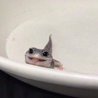 yuina (@yuina08281999) Twitter profile photo