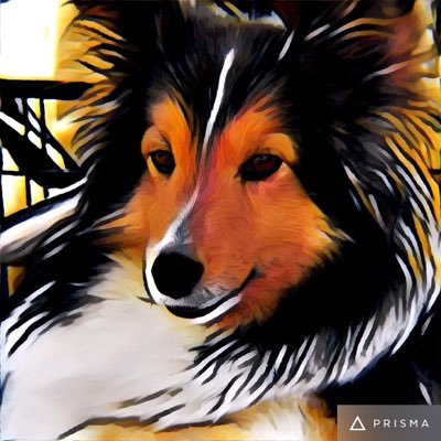 cappuccino_car's profile picture. SUZUKI カプチーノをこよなく愛して ミルクを抜いてエスプレッソに 苦味とパンチの効いた車にすべく努力してます！カプチーノのオナーさん・ライトウエイトスポーツカー オーナーさん ホローさせて頂きますm(__)m！　F6A　E-EA11R