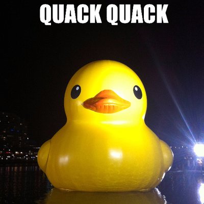Teh Epic Duck Develishduck Twitter - teh epik duck is coming roblox