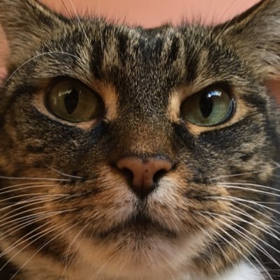 genesis_wins's profile picture. 