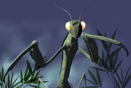 Bazay's profile picture. 