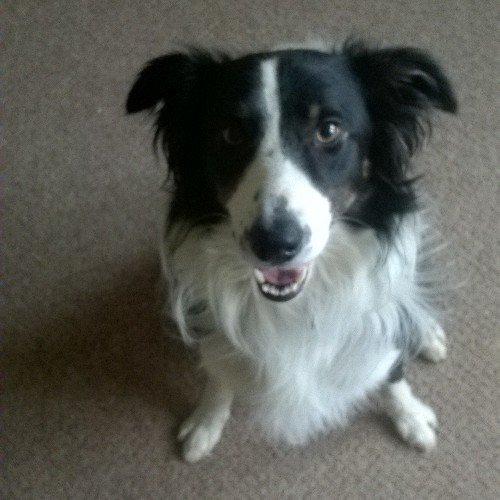 charlesreeduk's profile picture. 