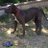 IMAPatriot101's avatar