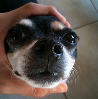 generalhodl3r's profile picture. 