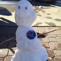 ALPACA MSU Denver (@alpaca_msu) 's Twitter Profile