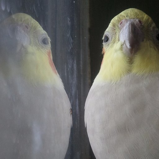 William_M_Rouse's profile picture. lawyer, off-gridder, poker player, technology buff.