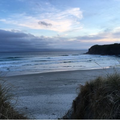 sterlingarch95's profile picture. 🍟🍔🍦