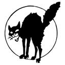 Leo Blum - @LB635 - Twitter