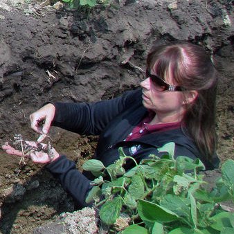 UMN Extension Educator in Soils. Reducing tillage, covering the soil, and building soil health are my passion.