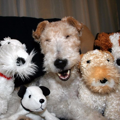 KHRL236's profile picture. Colorado flutist, Wrexham fan.