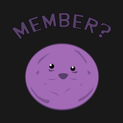 Image result for member berries