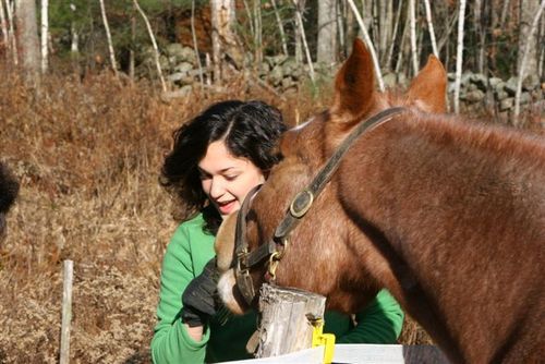 Mama to 3 small kiddos, freelance marketing and pr copywriter, health/fitness nut and horsewoman. I'm available for online and print projects, large or small.
