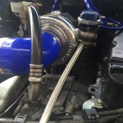 da_basher's profile picture. 🦊