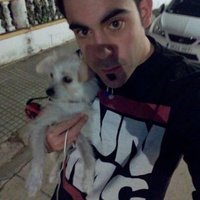 Aitor Coleccionista (@colecbufandas) 's Twitter Profile