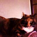 Margaret Chadwick - @magstony - Twitter