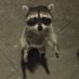 Vaguely Amused (@vaguelyamused1) Twitter profile photo Vaguely Amused (@vaguelyamused1) Twitter profile photo