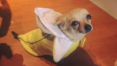 lorenzofrita's profile picture. 