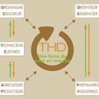 Thierry HACHE (@thdgrainoble) 's Twitter Profile Photo Thierry HACHE (@thdgrainoble) 's Twitter Profile Photo