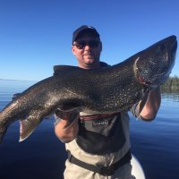 Seb Desnoyers-Picard (@seb_desnoyers) 's Twitter Profile