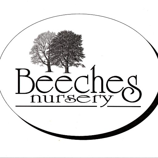 BeechesNursery Profile Picture