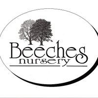 Beeches Nursery(@BeechesNursery) 's Twitter Profileg
