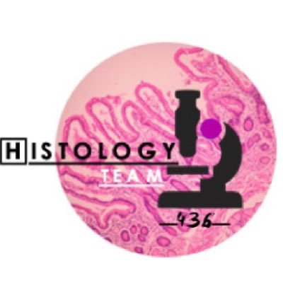 Histology Team of batch 436 @_KSU🔬!! Contact us at HistologyTeam436@gmail.com