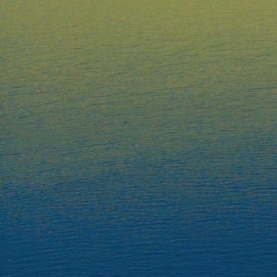 くじらいさんのプロフィール画像