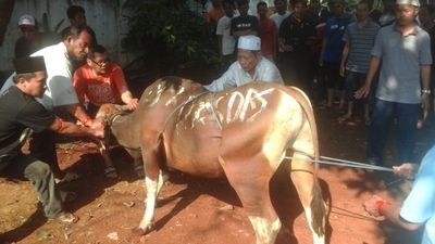 profitshare9's profile picture. Try for the Best