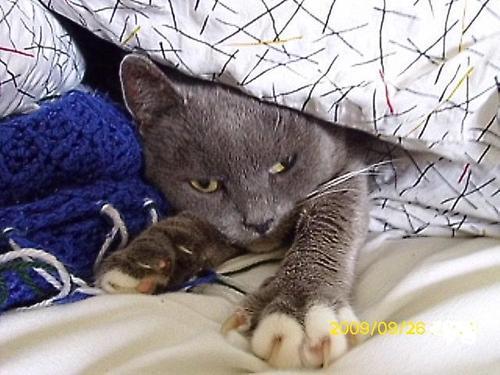 Floooochen_93's profile picture. I love:
Smilies,my dog Blacky,my cats Baggy,Medusa and Tommy,Simpsons,crazy/funny things,Girlssummer and holidays,laura,Scrubs
I hate:...bad friends,and liars