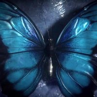 🦋Break Of Dawn🦋 (@aurorejiud) 's Twitter Profile Photo 🦋Break Of Dawn🦋 (@aurorejiud) 's Twitter Profile Photo