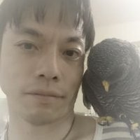 はる(●▽●) (@hal_springtide) 's Twitter Profile