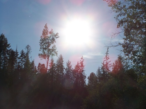 Temperature control experts that promote Green Technology, home improvement, environment and ecological responsibility