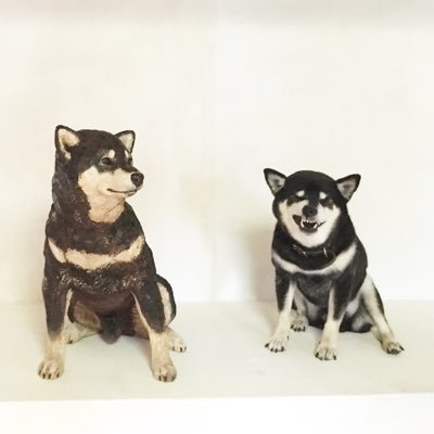 woodcarving 動物の木彫り彫刻家。音楽とコーヒーと本とRPGが好き。 愛犬は月くん。instagram https://t.co/cpEsMvv2BR YouTube https://t.co/uQhF60FejT
