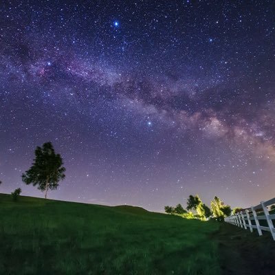 v8uKmPIdpVJBDKv's profile picture. 